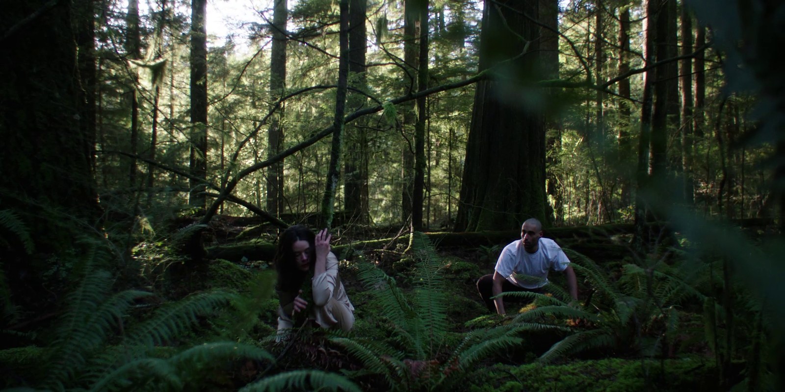 Still from Elegy.