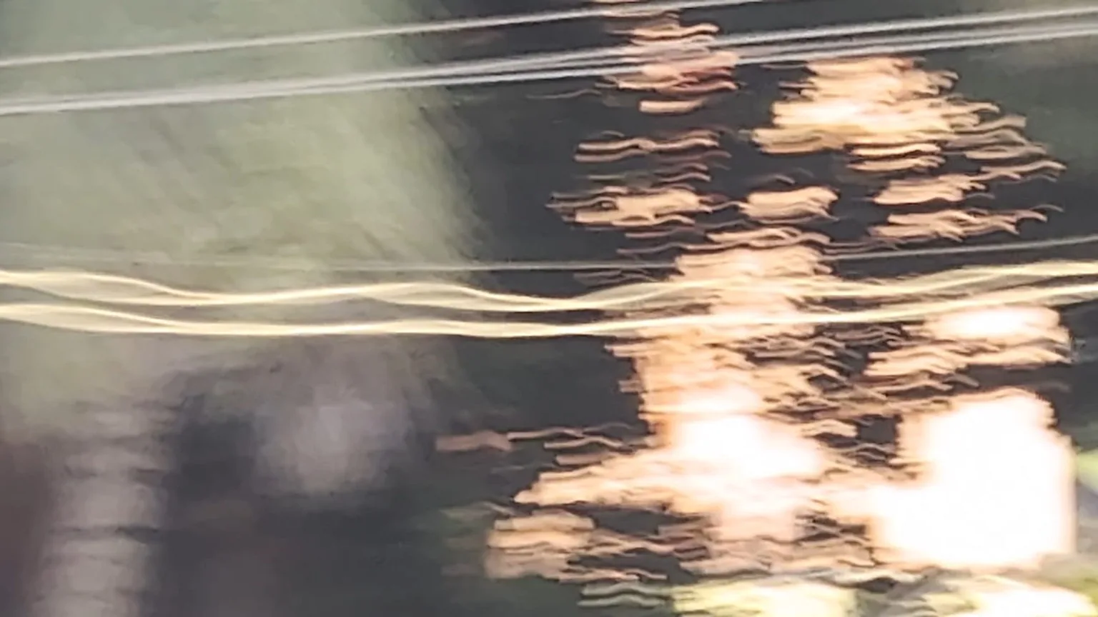 Still from Mid-Breath: reflected light across water.