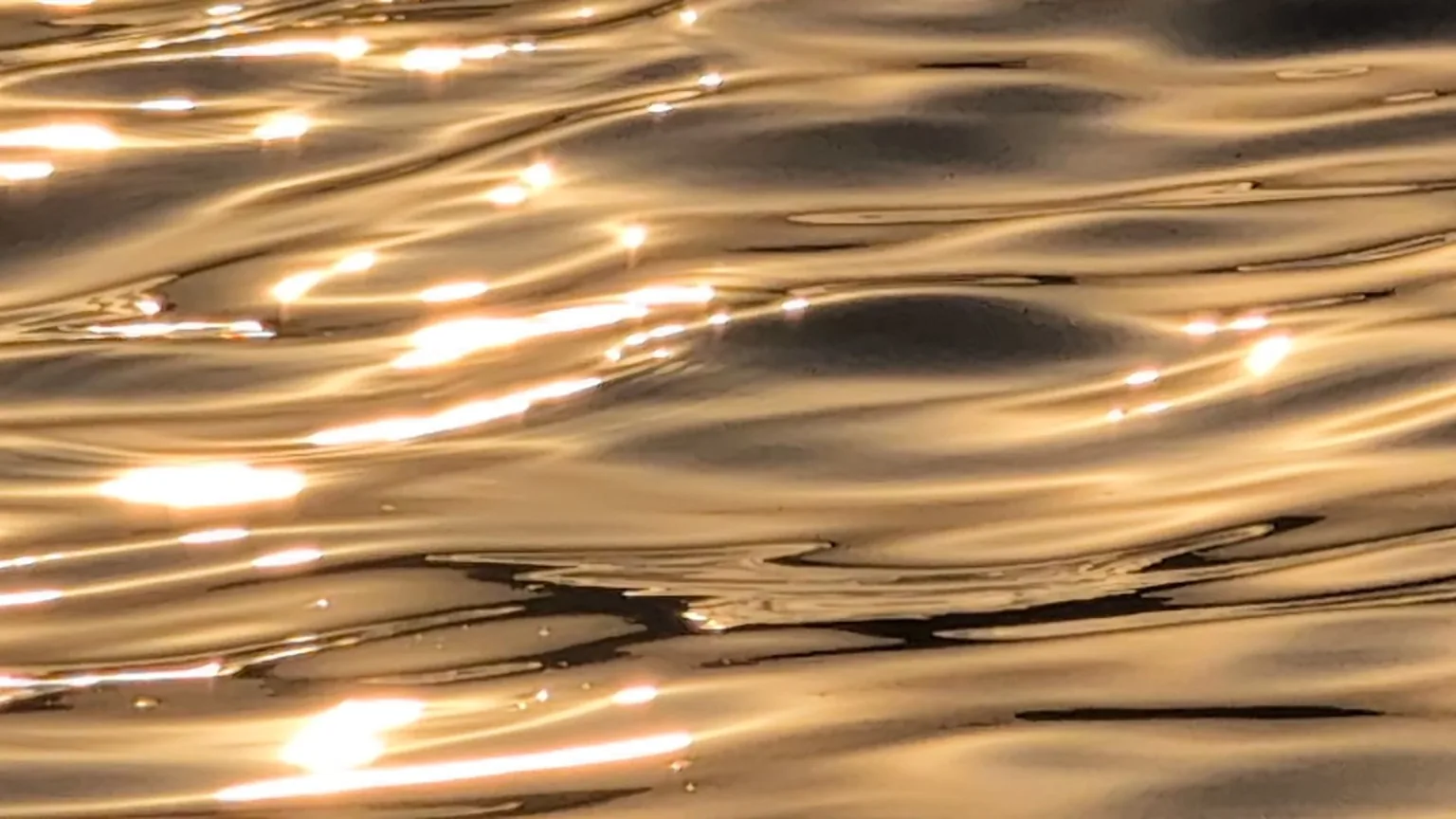 Still from Mid-Breath: sunlight moving across water.