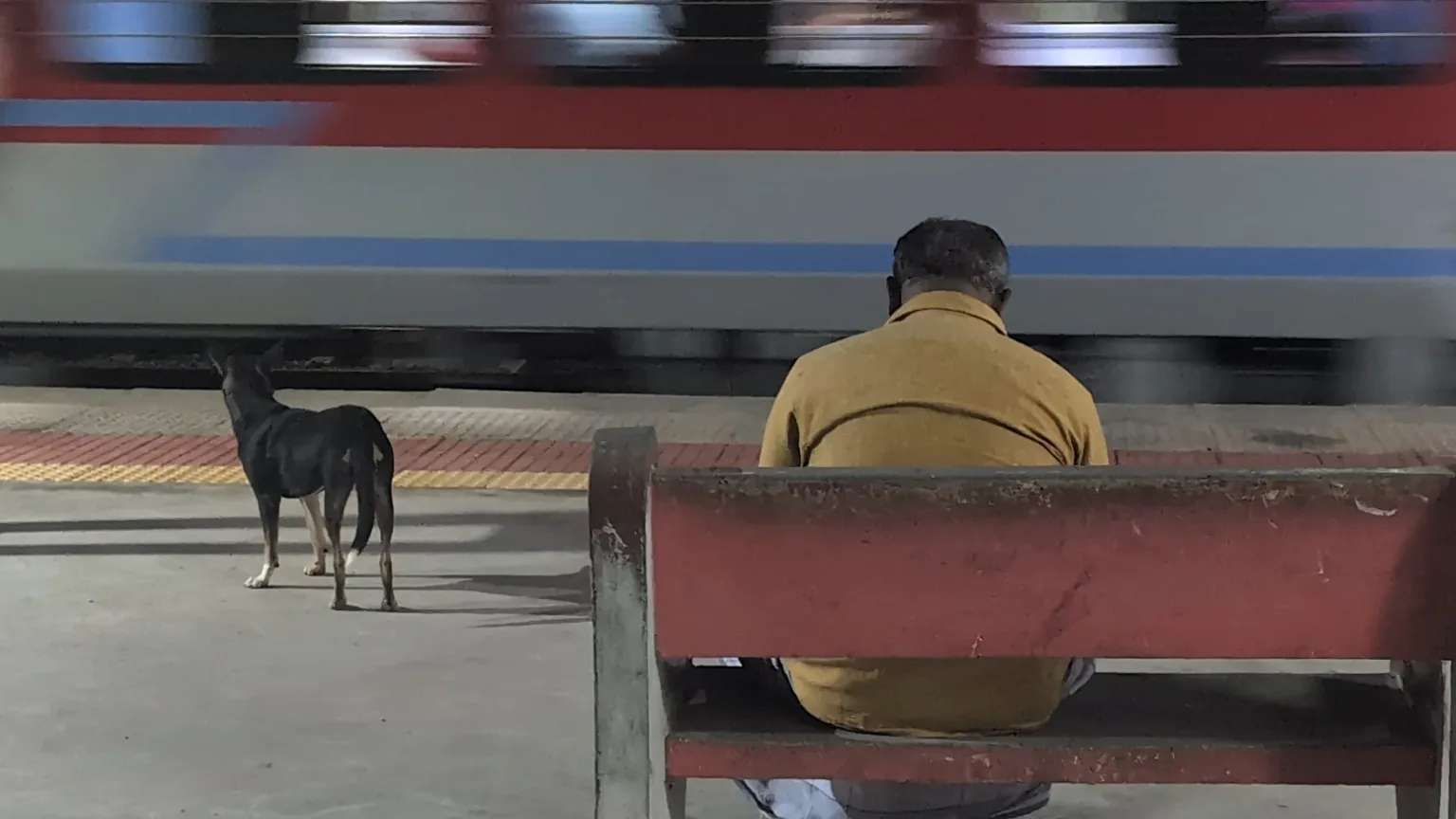 Still from Mid-Breath: a man seated on a railway platform beside a dog.