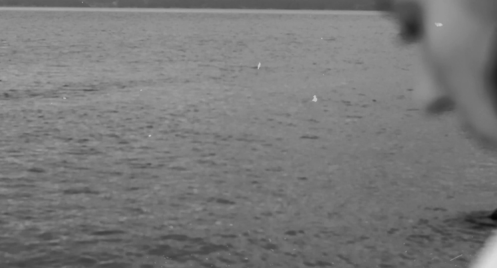 Still from So Estranged.