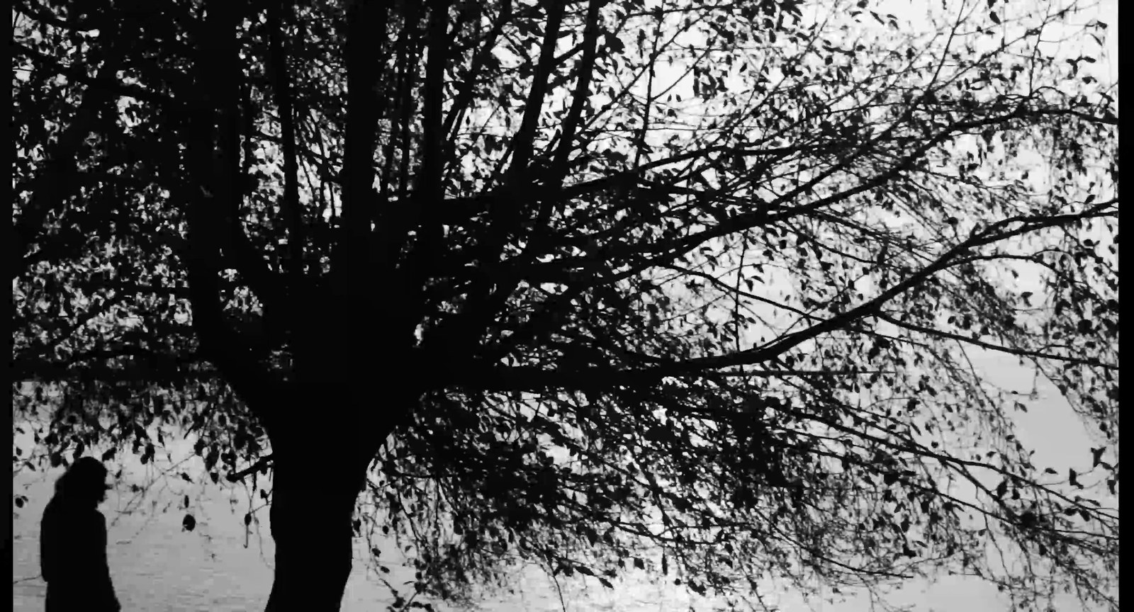 Still from So Estranged.